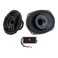 All horns + diamond amp