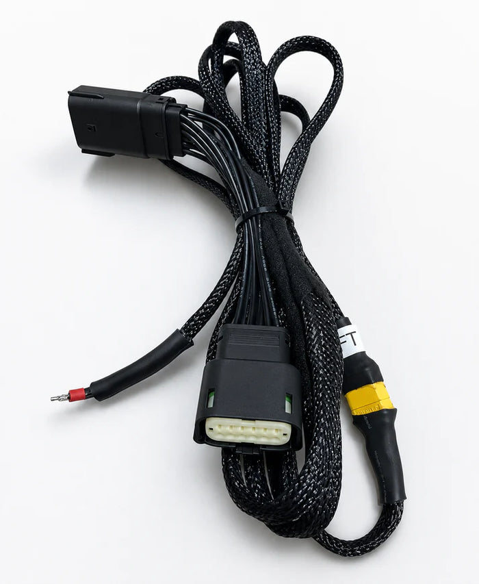 2023.5 and up Rear Speaker Harness
